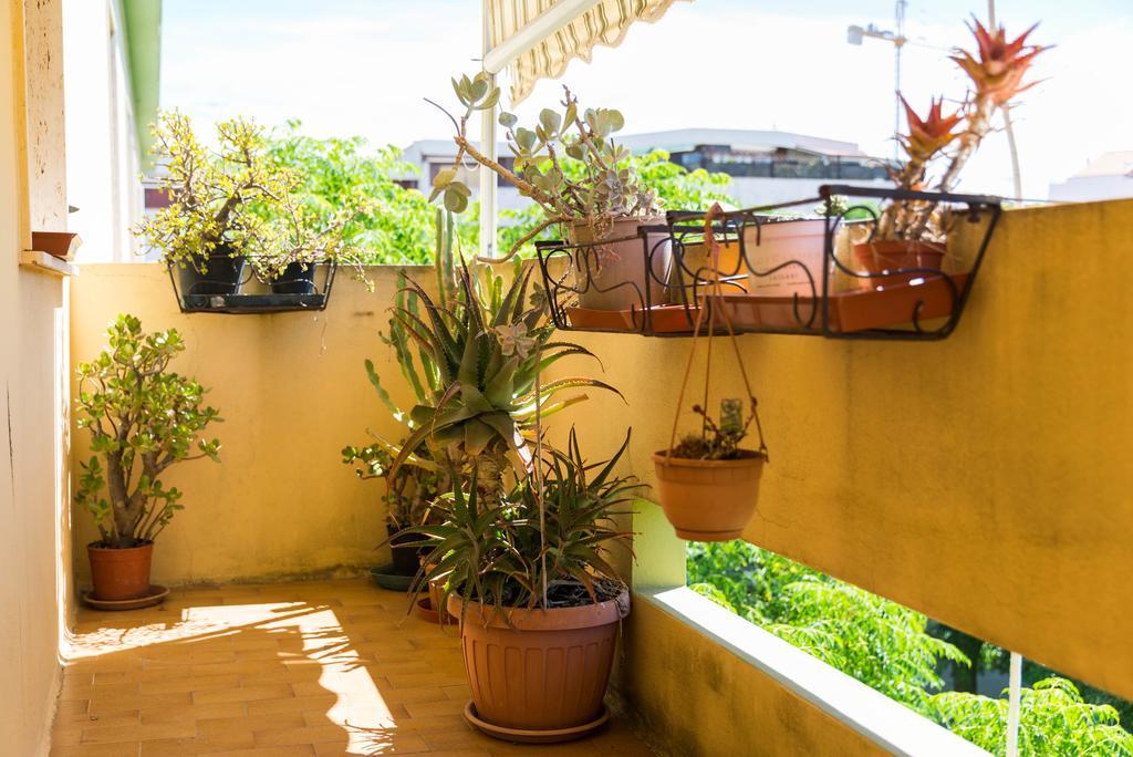 Sa Mama E Su Sole Daire Alghero Dış mekan fotoğraf